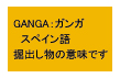 GANGAの意味